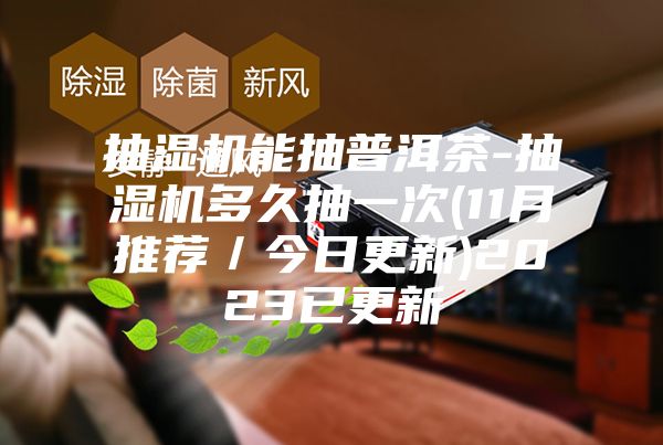 抽湿机能抽普洱茶-抽湿机多久抽一次(11月推荐／今日更新)2023已更新