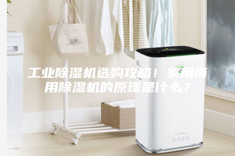 工业除湿机选购攻略！家用商用除湿机的原理是什么？