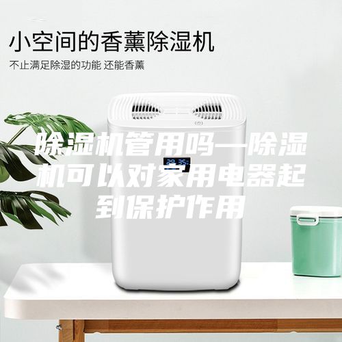 除湿机管用吗—除湿机可以对家用电器起到保护作用