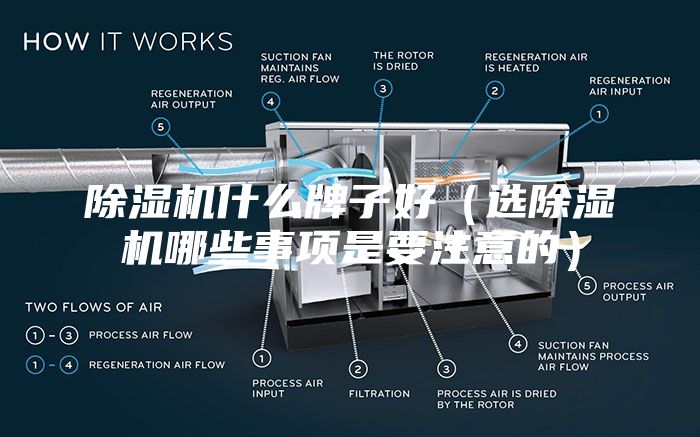 除湿机什么牌子好（选除湿机哪些事项是要注意的）