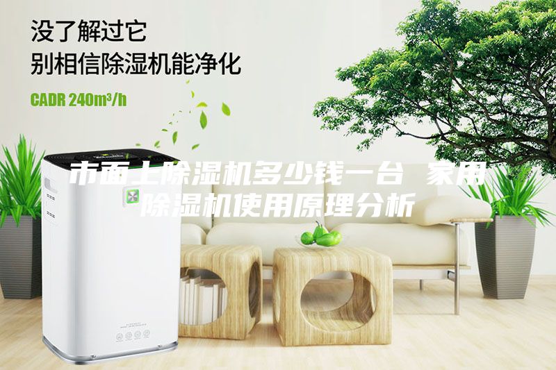 市面上除湿机多少钱一台 家用除湿机使用原理分析