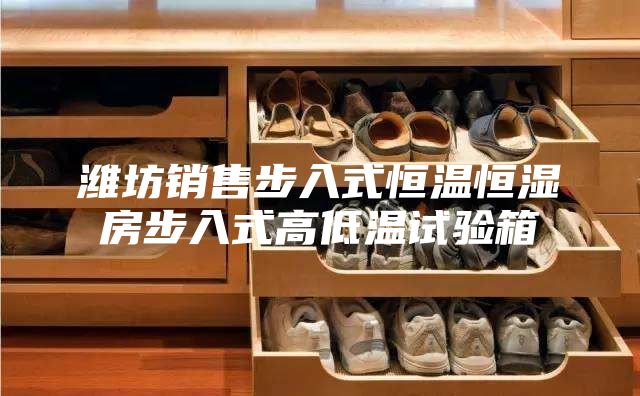 潍坊销售步入式恒温恒湿房步入式高低温试验箱