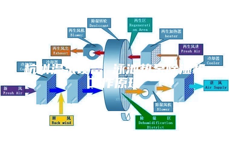 杭州温泉设备 泳池热泵除湿机工作原理