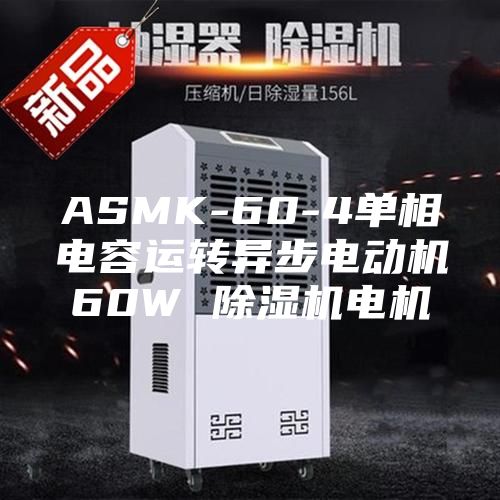 ASMK-60-4单相电容运转异步电动机60W 除湿机电机