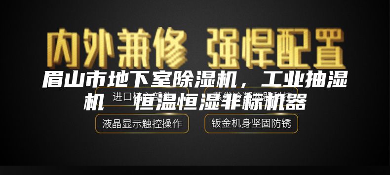 眉山市地下室除湿机，工业抽湿机  恒温恒湿非标机器