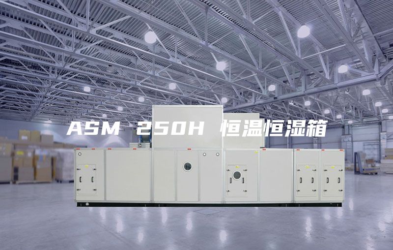 ASM 250H 恒温恒湿箱