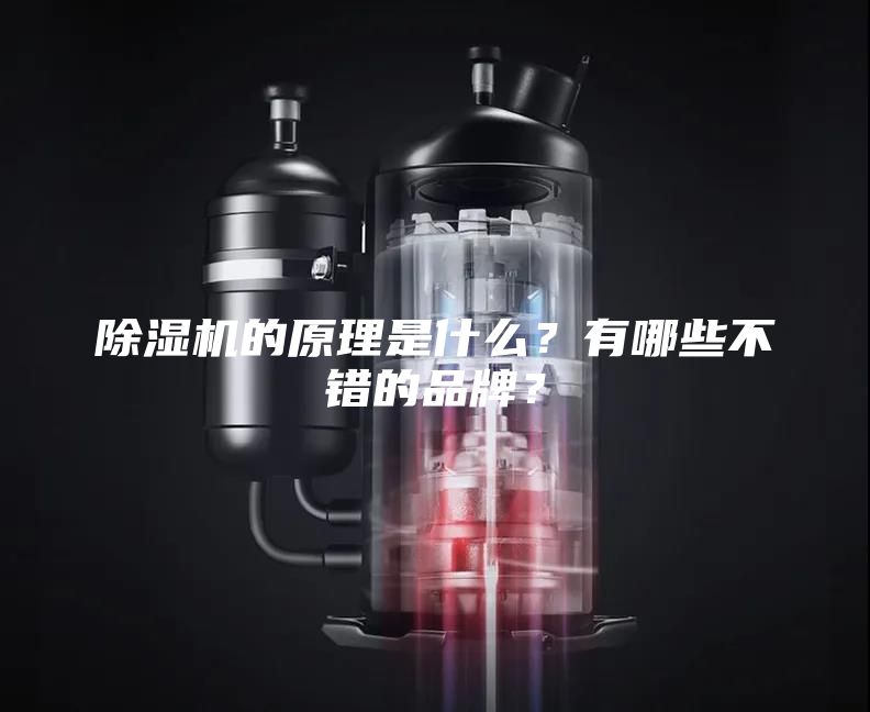 除湿机的原理是什么？有哪些不错的品牌？