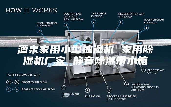 酒泉家用小型抽湿机 家用除湿机厂家 静音除湿带水箱