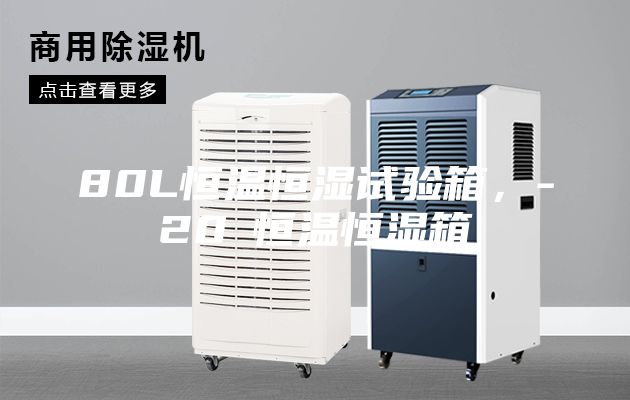 80L恒温恒湿试验箱，-20℃恒温恒湿箱