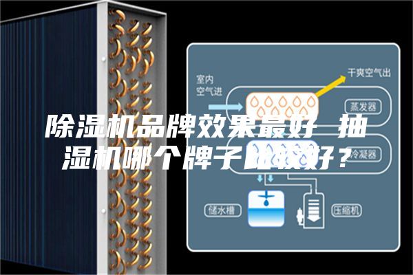 除湿机品牌效果最好 抽湿机哪个牌子比较好？