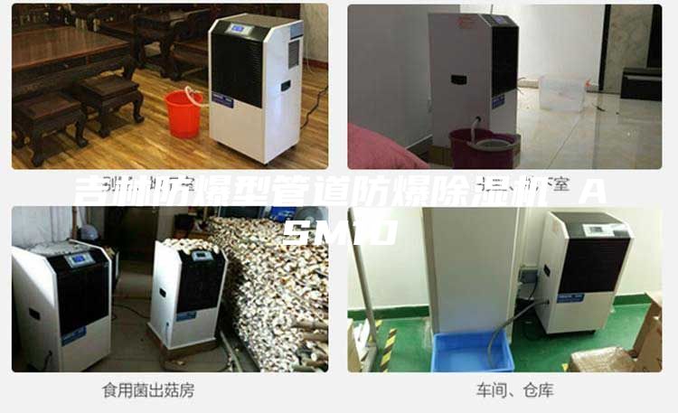 吉林防爆型管道防爆除湿机 ASM10