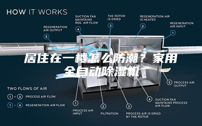 居住在一楼怎么防潮？家用全自动除湿机