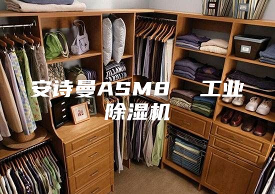 安诗曼ASM8  工业除湿机