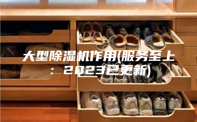 大型除湿机作用(服务至上：2023已更新)