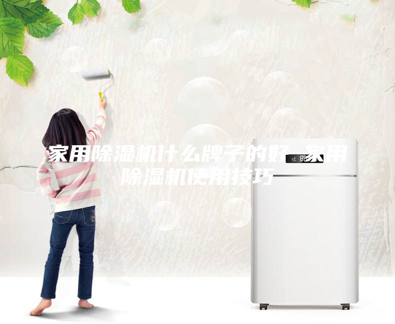 家用除湿机什么牌子的好 家用除湿机使用技巧