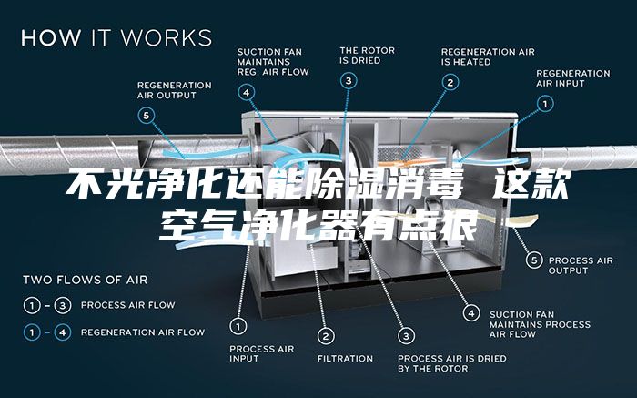 不光净化还能除湿消毒 这款空气净化器有点狠