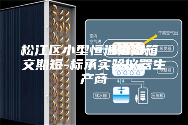 松江区小型恒温恒湿箱 交期短-标承实验仪器生产商