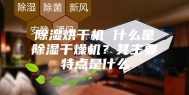 除湿烘干机 什么是除湿干燥机？其主要特点是什么