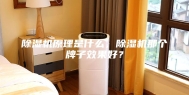 除湿机原理是什么，除湿机那个牌子效果好？