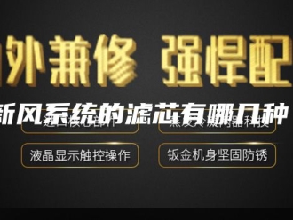 知识百科新风系统的滤芯有哪几种？