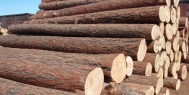 木材干燥为什么要用工业除湿机