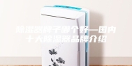 除湿器牌子哪个好—国内十大除湿器品牌介绍