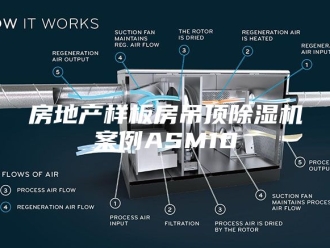 行业新闻房地产样板房吊顶除湿机案例ASM10