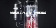 除湿器工作原理 除湿器价格