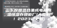 山东厚膜混合集成电路恒温恒湿存放柜厂(大喜讯！2023已更新)