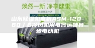 山东除湿机电机ASM-120-60／6冷风机用电容运转异步电动机