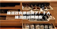 抽湿器有哪些牌子？十大抽湿器品牌推荐