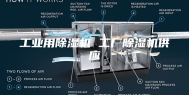 工业用除湿机 工厂除湿机供应